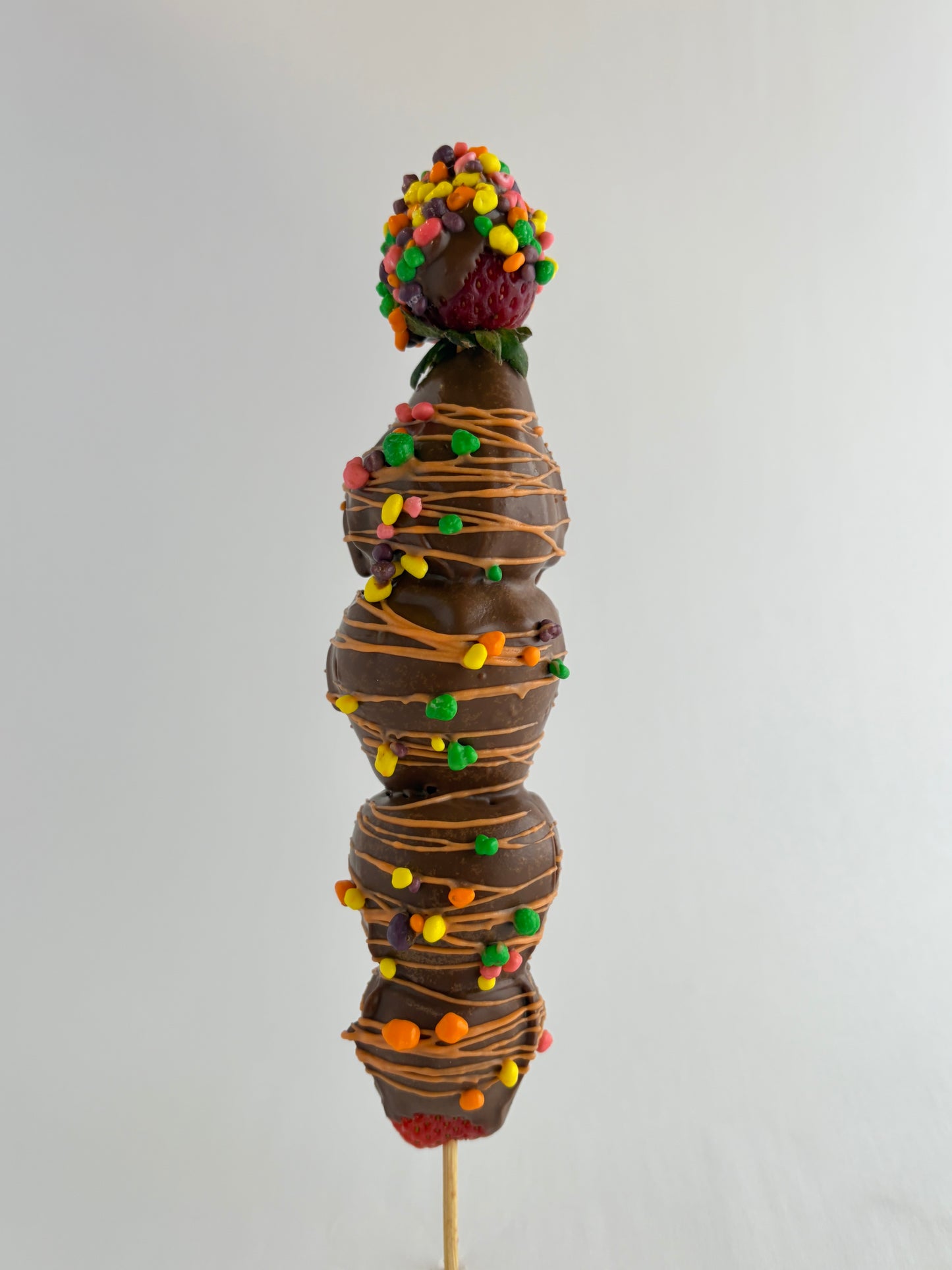 Strawberry Turtle Shell Crunch - - Chocolate Dipped Style