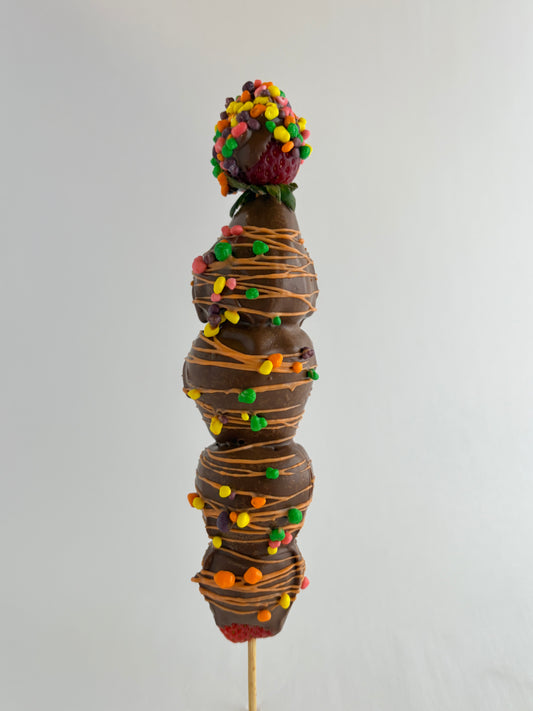 Strawberry Turtle Shell Crunch - - Chocolate Dipped Style